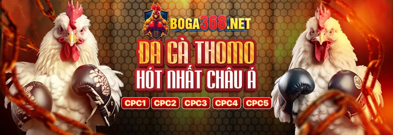 Đá gà trực tuyến kịch tính tại 66b khuyến mãi